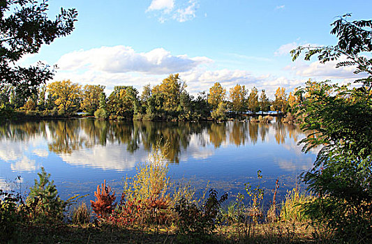 湿地,秋天