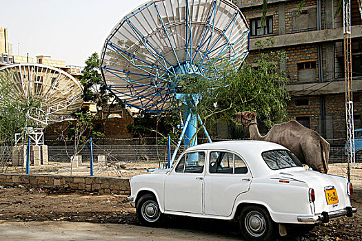 骆驼,汽车,碟形卫星天线,斋沙默尔,拉贾斯坦邦,印度,亚洲