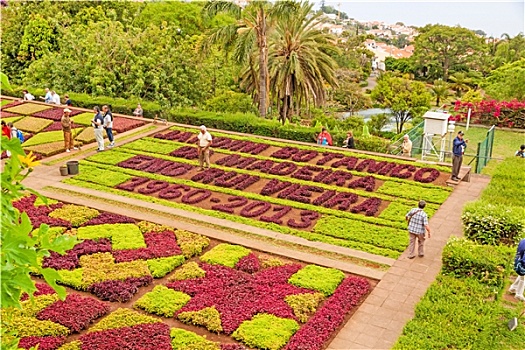 植物园,马德拉岛