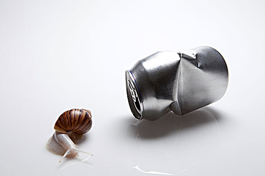 蜗牛,挤压,罐,白色背景
