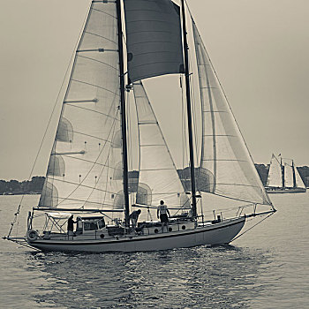 马萨诸塞,纵帆船,节日,帆船,大幅,尺寸
