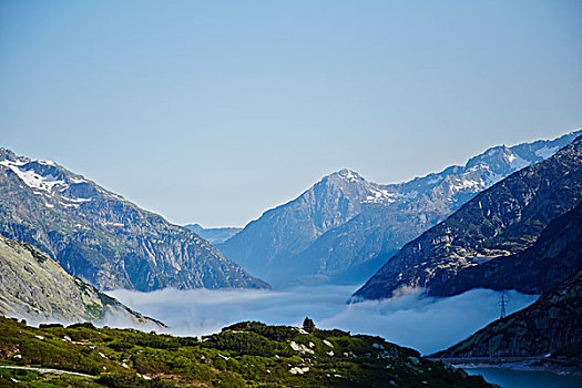 晨雾,山,伯恩高地,瑞士