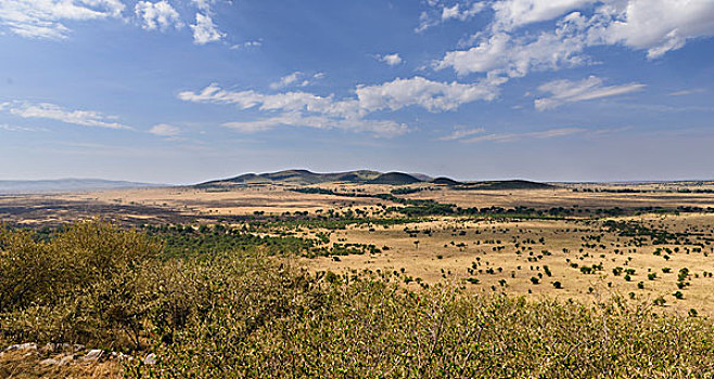 伸展,风景,马赛马拉,沙子,河,北方,大草原,塞伦盖蒂,楔形,马赛马拉国家保护区,肯尼亚,非洲