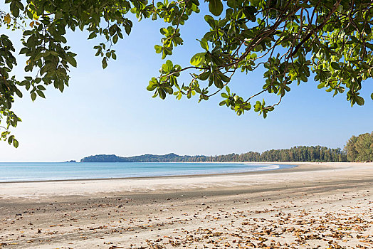 海滩,苏梅岛,泰国,亚洲