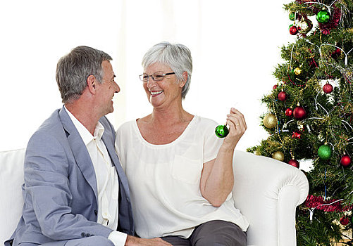 夫妻,坐,沙发,圣诞树