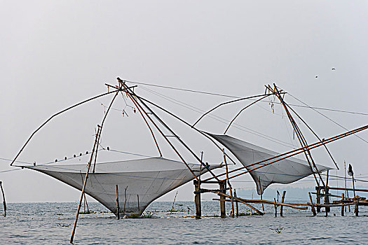 中国,渔网,湖,喀拉拉,印度,亚洲
