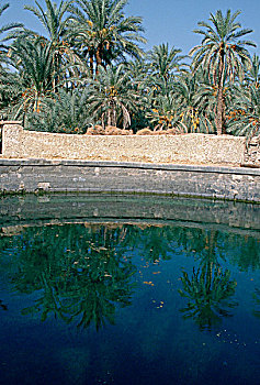 水池,锡瓦绿洲,埃及