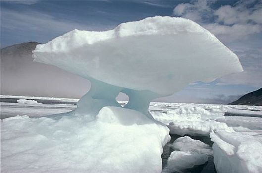 冰山,浮冰,巴芬岛,加拿大