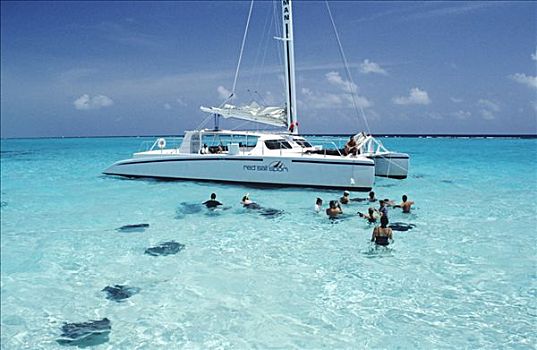 游客,游泳,大开曼岛,开曼群岛,加勒比海,中美洲