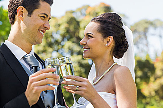 新婚,祝酒,香槟酒杯,公园