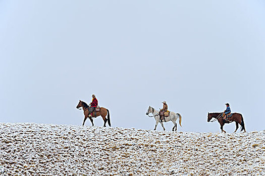 牛仔,两个,孩子,骑马,地平线,雪中,落基山脉,怀俄明,美国