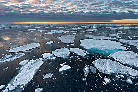 浮冰,边缘,北冰洋,斯匹次卑尔根岛,斯瓦尔巴特群岛,岛屿,挪威,欧洲