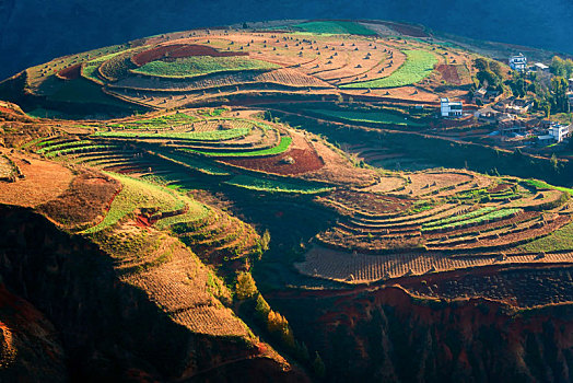 东川红土地