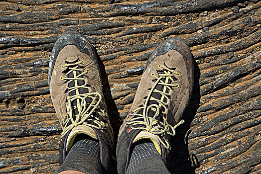 冰岛,远足鞋,冷却,火山岩