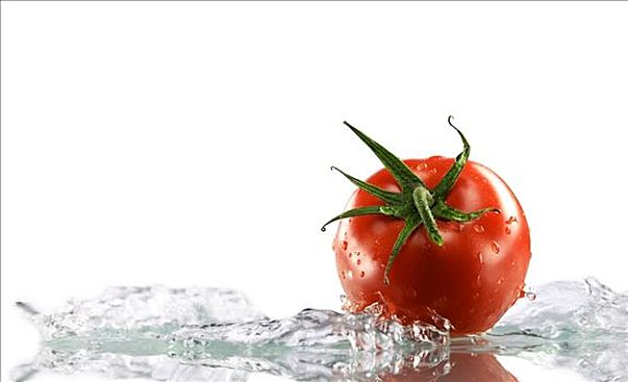 西红柿,围绕,水