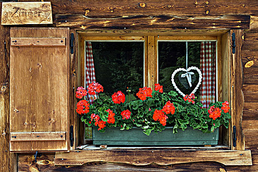 天竺葵,缠结,心形,窗户,农舍,英国,提洛尔,奥地利,欧洲