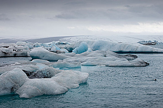 冰山,漂浮,杰古沙龙湖,结冰,泻湖,南海岸,冰岛