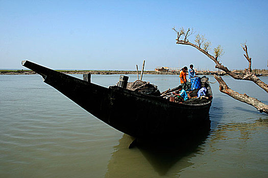 渔民,航行,湾,孟加拉,捕鱼,岛屿,南方,孙德尔本斯地区,面对,十一月,2007年