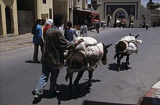 后视图,一个,男人,走,驴,途中,摩洛哥