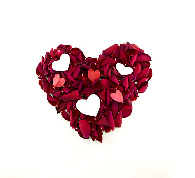 爱心,红玫瑰,花瓣,形状