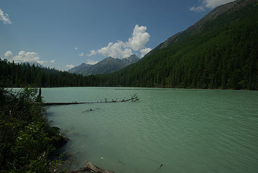 漂亮,山景,靠近,湖,高山湖,山地,水,山谷