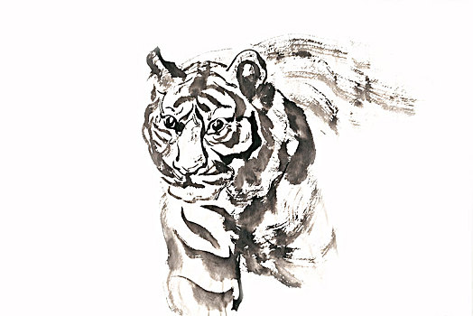 老虎手绘作品