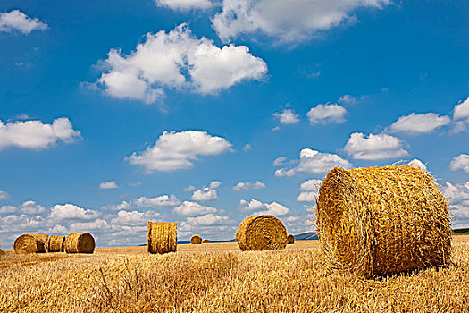 稻草捆,收获地,正面,阴天,普拉蒂纳特,莱茵兰普法尔茨州,德国,欧洲