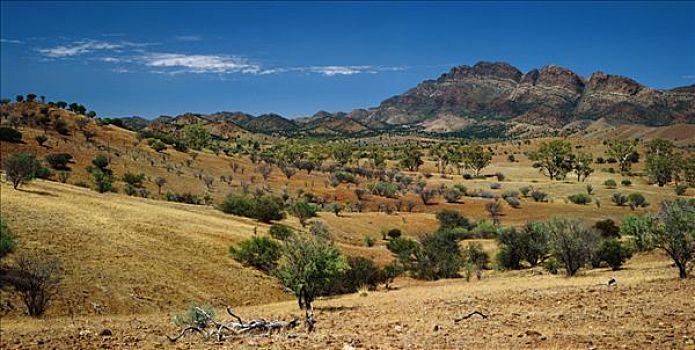 风景,弗林德斯山脉,澳大利亚