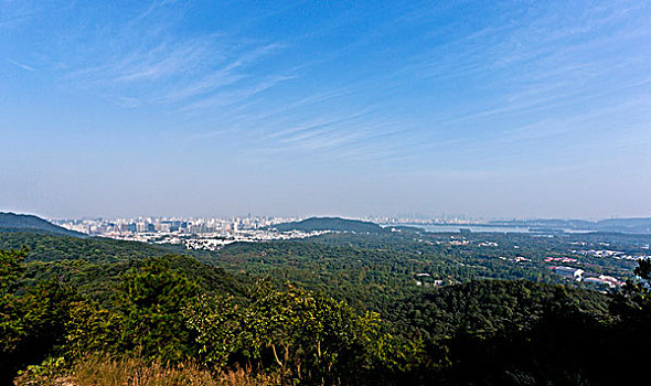 杭州城市全景