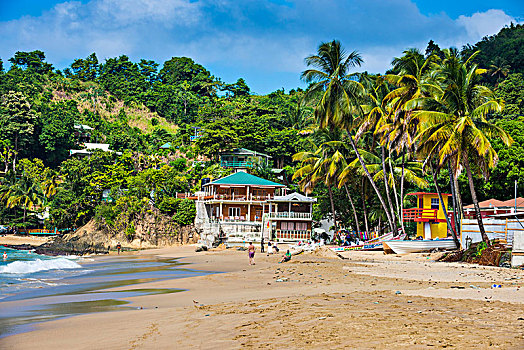 海滩,多巴哥岛,特立尼达和多巴哥,加勒比