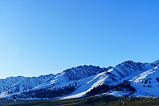 那拉提牧场的草原与雪山