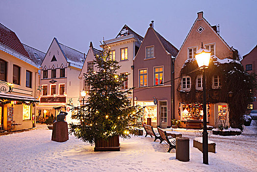 老,房子,雪,圣诞灯光,圣诞树,不莱梅,德国,欧洲