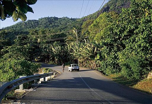 非洲,塞舌尔,马埃岛,道路,街道