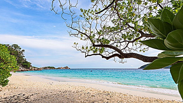 海洋,海滩,斯米兰群岛,泰国
