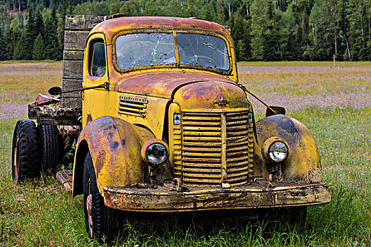 生锈,老,卡车,特写,靠近,不列颠哥伦比亚省,加拿大,大幅,尺寸