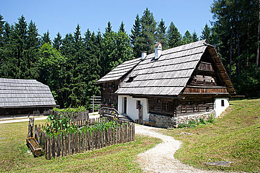 别墅花园,农舍,露天博物馆,省,萨尔茨堡,奥地利