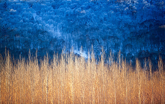 吉林冬天自然景观