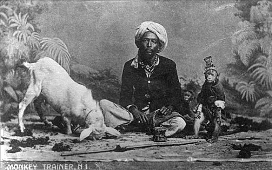 猴子,训练者,印度,20世纪