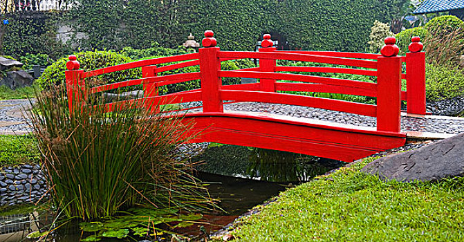 日式庭园,红色,桥,水