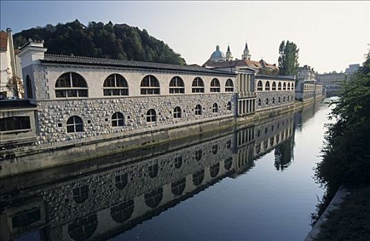 拱廊,卢布尔雅那河,河,卢布尔雅那,斯洛文尼亚
