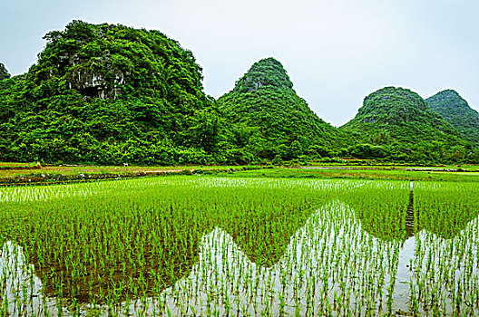 田园风光