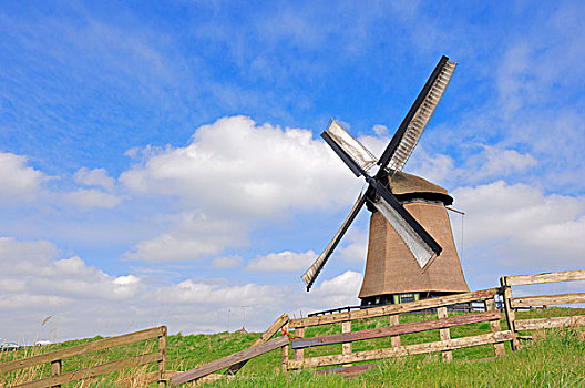 风车,北方,荷兰,欧洲