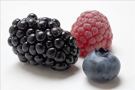 树莓,黑莓,蓝莓,特写