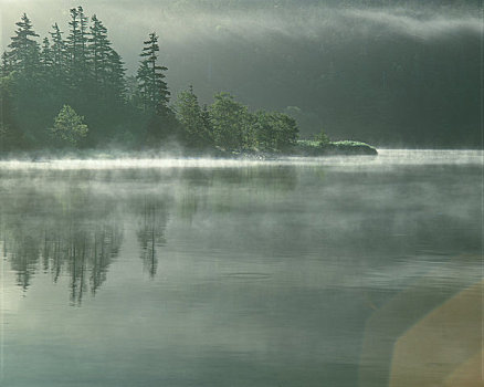 湖,早晨,薄雾