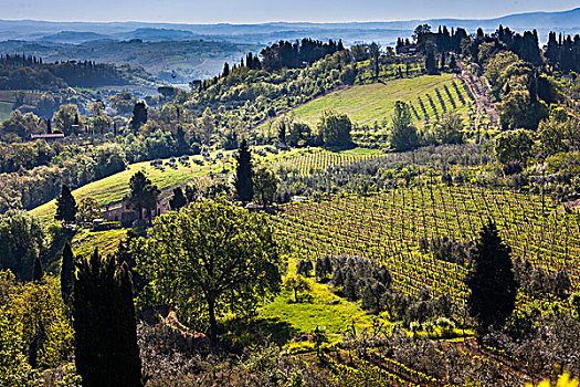 俯视,乡村,围绕,圣吉米尼亚诺,锡耶纳省,托斯卡纳,意大利