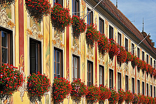 建筑,天竺葵,巴伐利亚,德国,欧洲