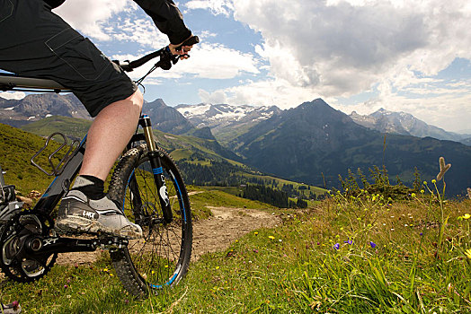 山地车手,骑自行车,阿尔卑斯山,靠近,伯恩,瑞士,欧洲