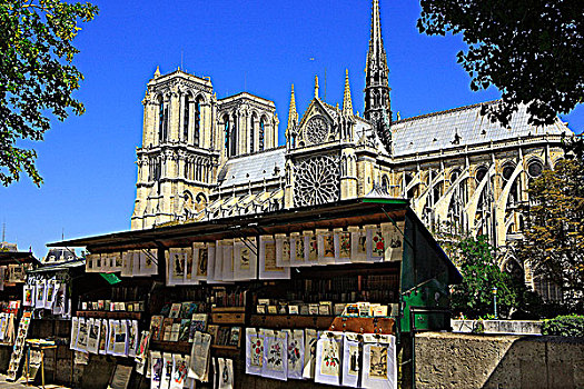 法国,巴黎,古物,书店,圣母大教堂,背景