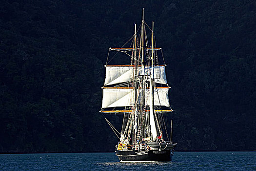 新西兰,高桅横帆船,小树林,手臂,南岛