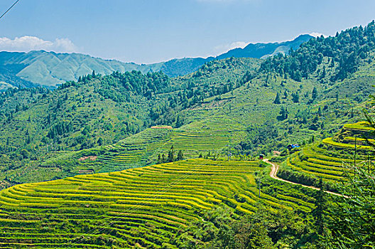 山岭风光